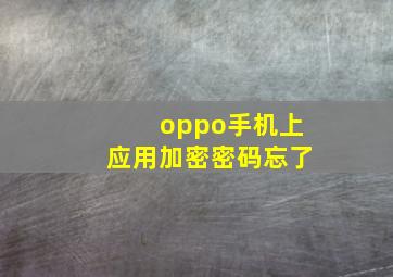 oppo手机上应用加密密码忘了