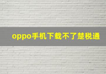 oppo手机下载不了楚税通