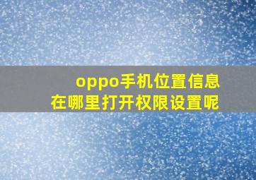 oppo手机位置信息在哪里打开权限设置呢