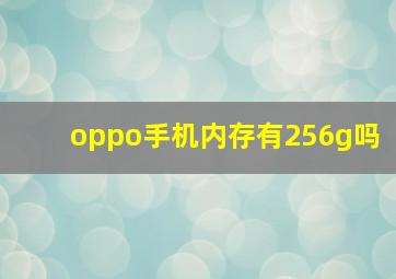 oppo手机内存有256g吗