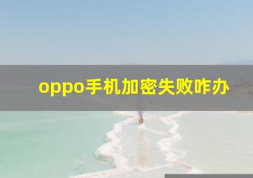 oppo手机加密失败咋办