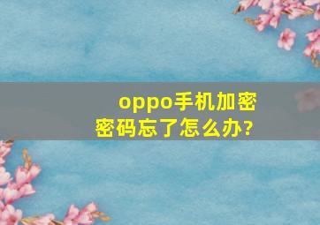 oppo手机加密密码忘了怎么办?