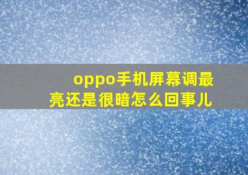 oppo手机屏幕调最亮还是很暗怎么回事儿