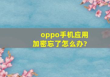 oppo手机应用加密忘了怎么办?