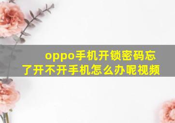 oppo手机开锁密码忘了开不开手机怎么办呢视频