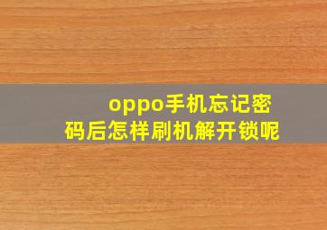 oppo手机忘记密码后怎样刷机解开锁呢