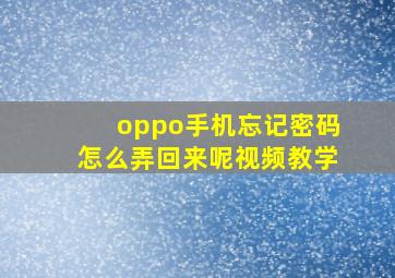 oppo手机忘记密码怎么弄回来呢视频教学