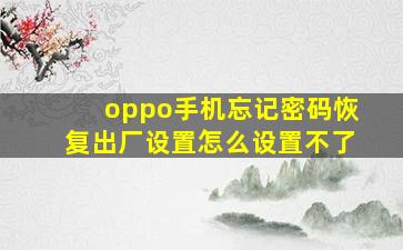 oppo手机忘记密码恢复出厂设置怎么设置不了