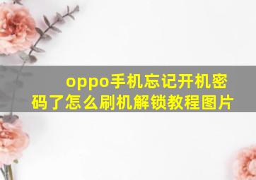 oppo手机忘记开机密码了怎么刷机解锁教程图片