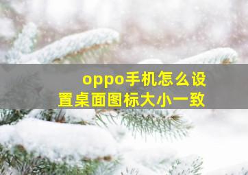 oppo手机怎么设置桌面图标大小一致