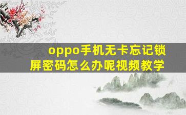 oppo手机无卡忘记锁屏密码怎么办呢视频教学