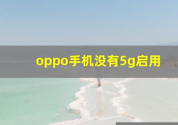 oppo手机没有5g启用