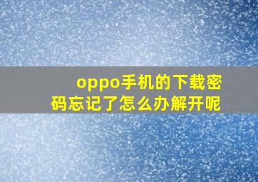 oppo手机的下载密码忘记了怎么办解开呢