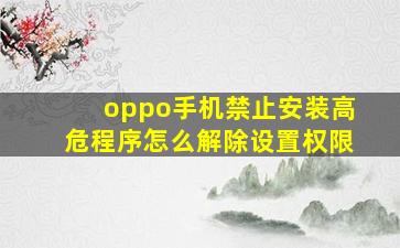 oppo手机禁止安装高危程序怎么解除设置权限