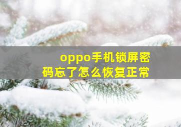 oppo手机锁屏密码忘了怎么恢复正常