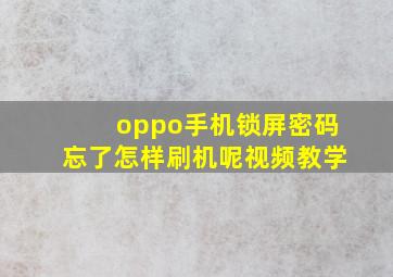 oppo手机锁屏密码忘了怎样刷机呢视频教学