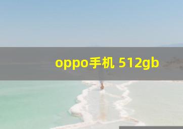 oppo手机 512gb