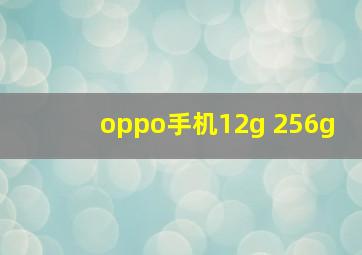 oppo手机12g+256g