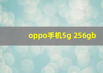 oppo手机5g 256gb