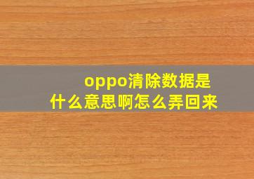 oppo清除数据是什么意思啊怎么弄回来