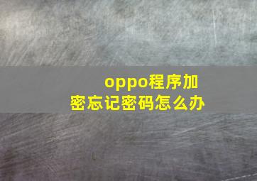 oppo程序加密忘记密码怎么办