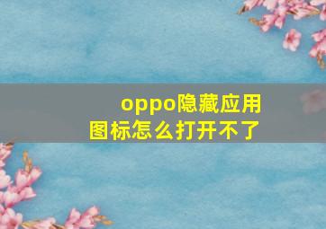 oppo隐藏应用图标怎么打开不了