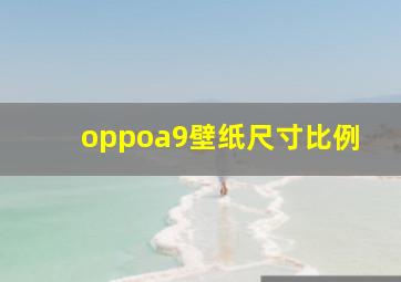 oppoa9壁纸尺寸比例