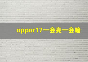 oppor17一会亮一会暗