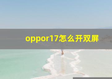 oppor17怎么开双屏