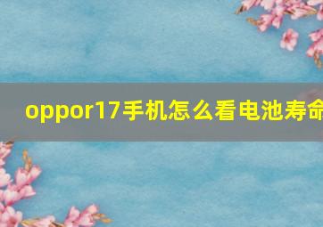 oppor17手机怎么看电池寿命