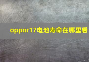 oppor17电池寿命在哪里看