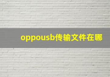 oppousb传输文件在哪