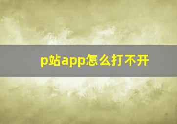 p站app怎么打不开