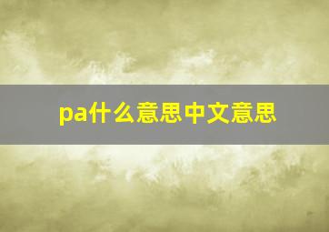 pa什么意思中文意思