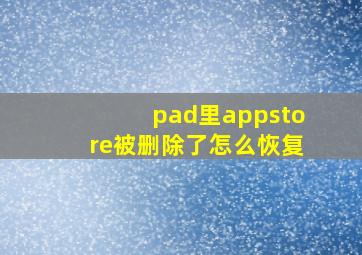 pad里appstore被删除了怎么恢复