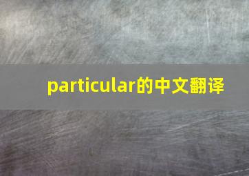 particular的中文翻译