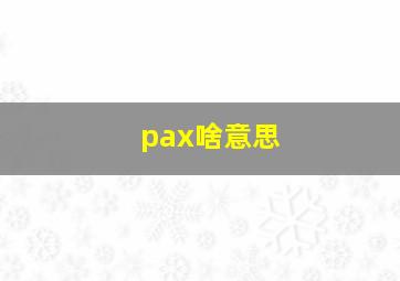 pax啥意思