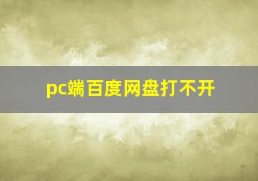 pc端百度网盘打不开