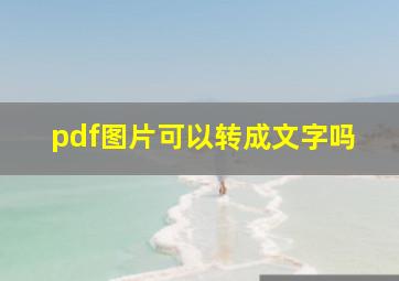 pdf图片可以转成文字吗