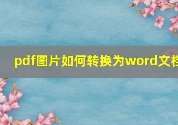 pdf图片如何转换为word文档