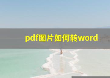 pdf图片如何转word