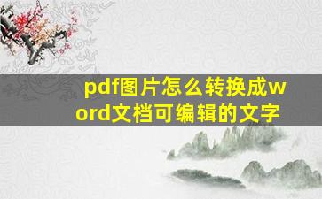 pdf图片怎么转换成word文档可编辑的文字