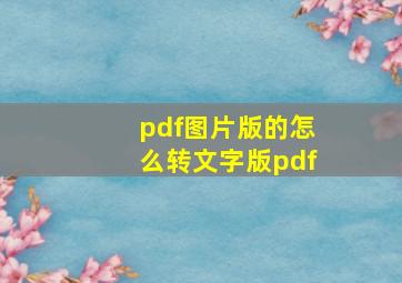 pdf图片版的怎么转文字版pdf