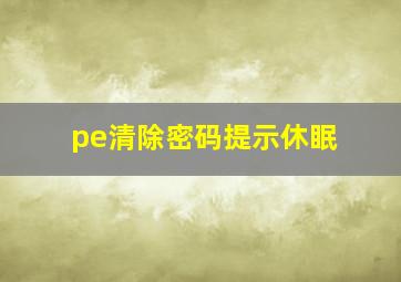 pe清除密码提示休眠