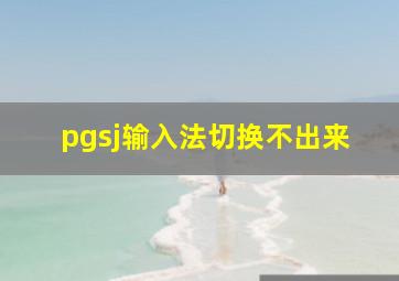 pgsj输入法切换不出来