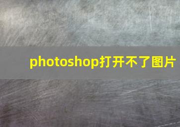 photoshop打开不了图片