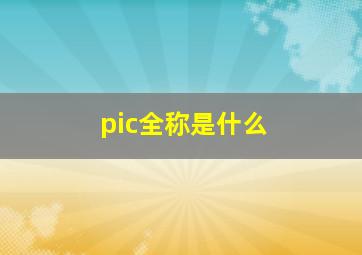 pic全称是什么