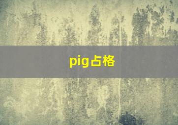 pig占格