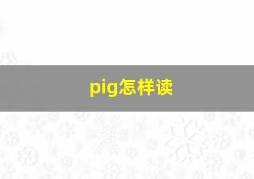 pig怎样读