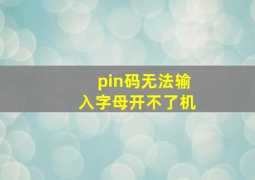 pin码无法输入字母开不了机